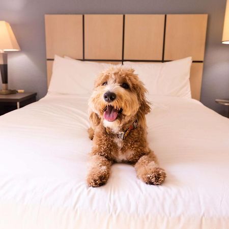 Sonesta Simply Suites Columbus Airport Gahanna Exteriér fotografie