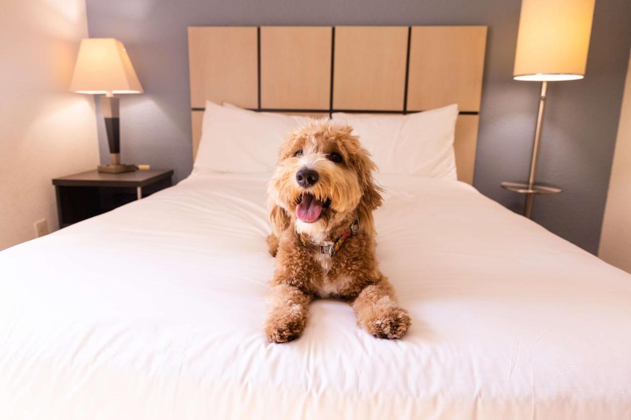 Sonesta Simply Suites Columbus Airport Gahanna Exteriér fotografie